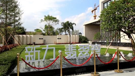 新力地產